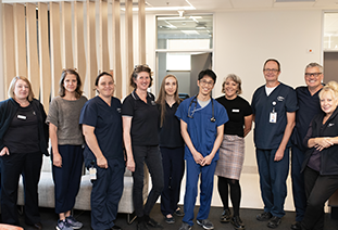 Meet the Team